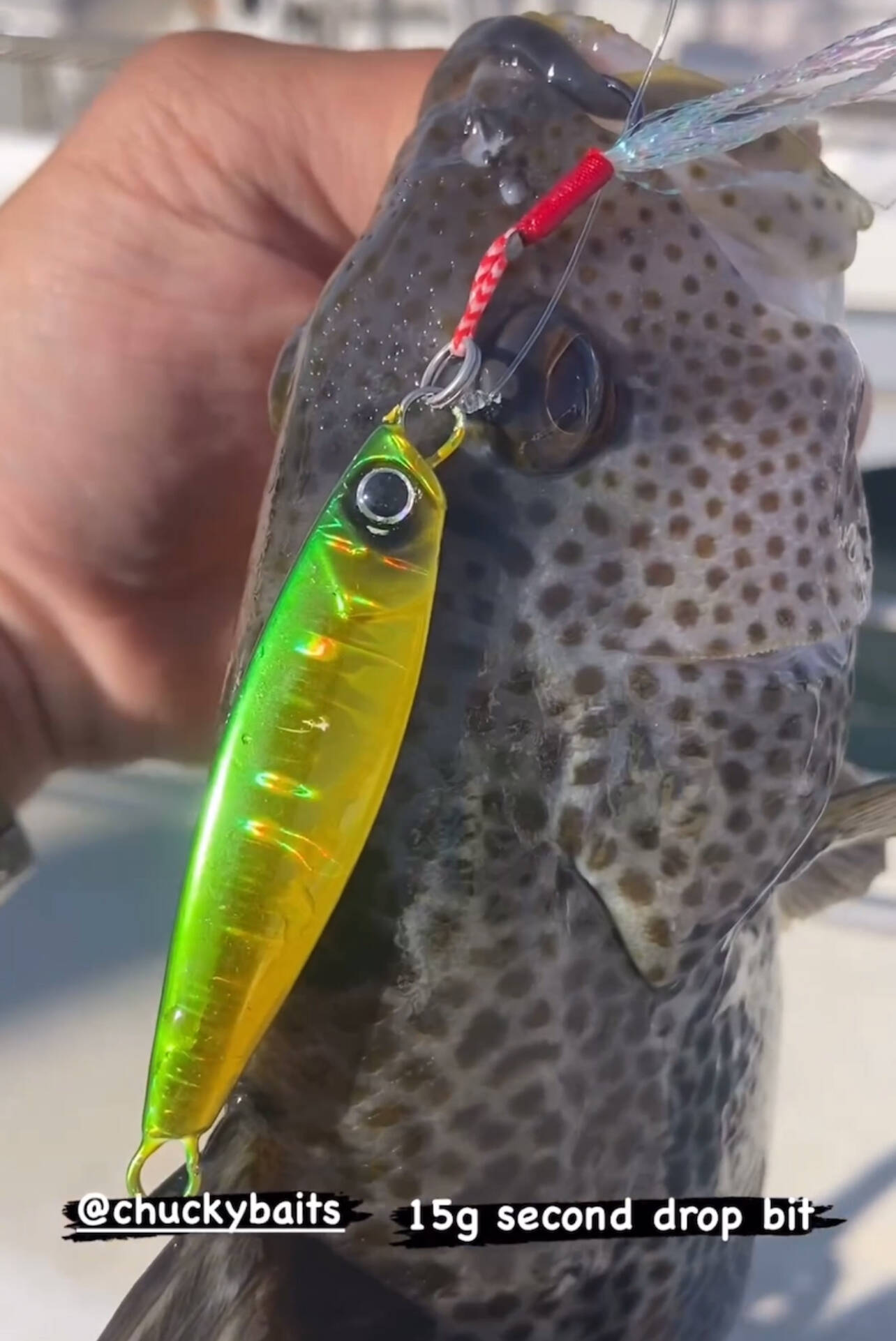 chucky duck fishing lure Ducky Topwater | Premium Bass Fishing Bait imitating lure Savage Gear 3D Suicide Duck-Wood
